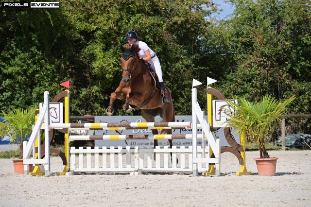 6 ans pour amateur elite