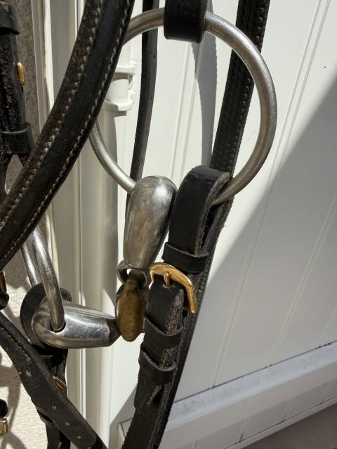 Bridon pour petit cheval 