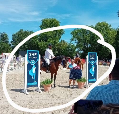 Belle jument pour cso