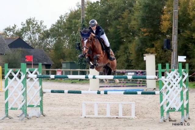 Ponette de grand prix à louer 