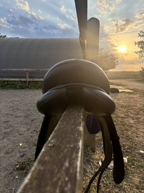SELLE DRESSAGE &Eacute;RIC THOMAS 17"