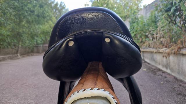 Selle mixte Eric Thomas