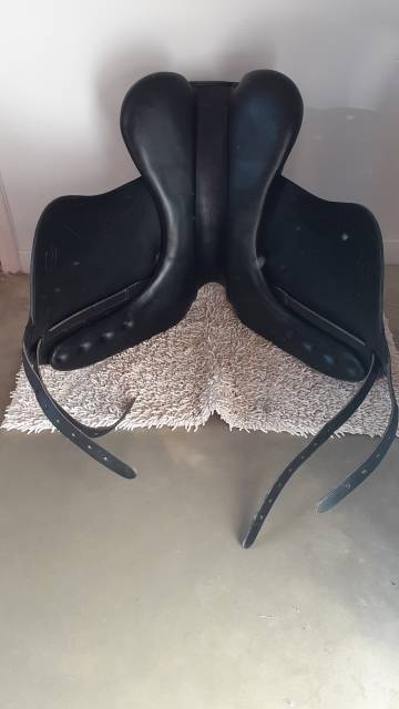 Selle dressage 