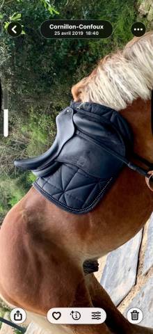 Selle de dressage childeric 18 2019 