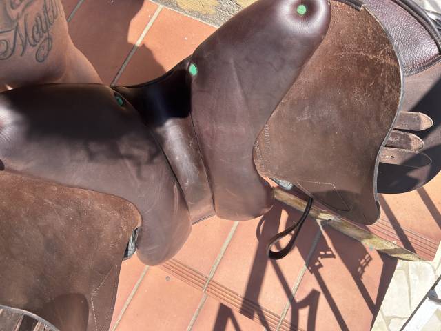 Selle &Eacute;quipe  mixte avec sangle et &eacute;trivi&egrave;res
