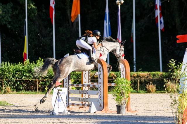 Jupiter cornière - sf – 7 ans – cheval d'avenir