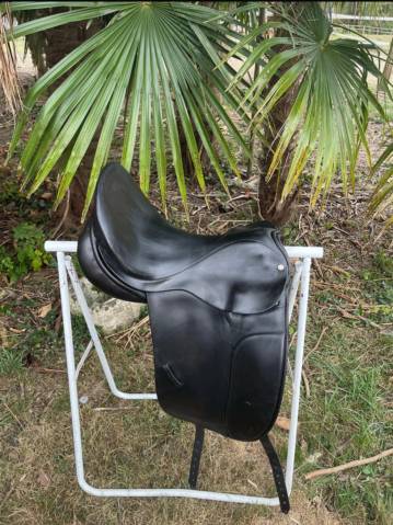 County dressage