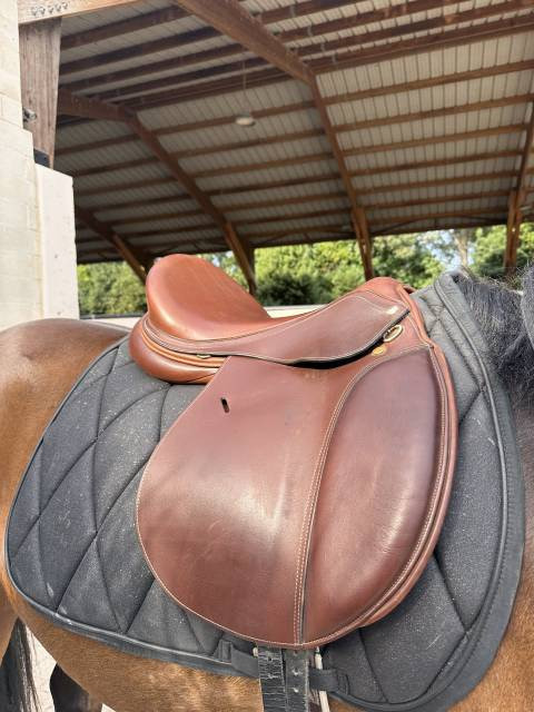 Selle mixte  17 / 17, 5 pouces, arcade m&eacute;dium