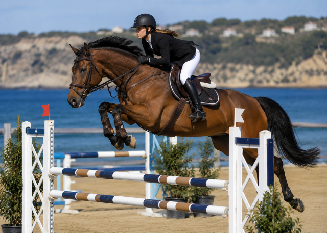 Jument 7 ans cso 130-140