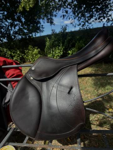 Selle équipe expression 17,5