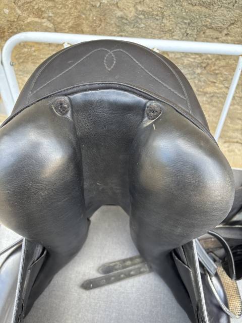 Selle Prestige Italie Venus K 17"