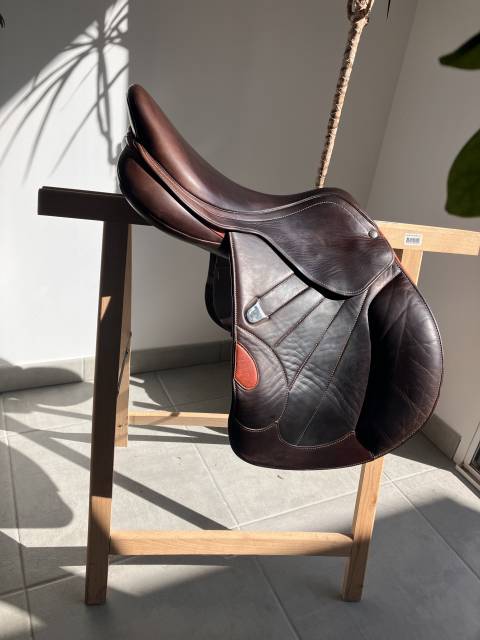 Selle bates victrix