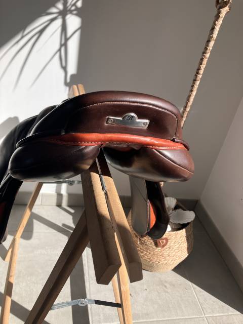 Selle bates victrix