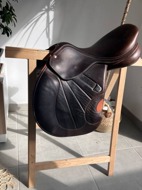 Selle bates victrix