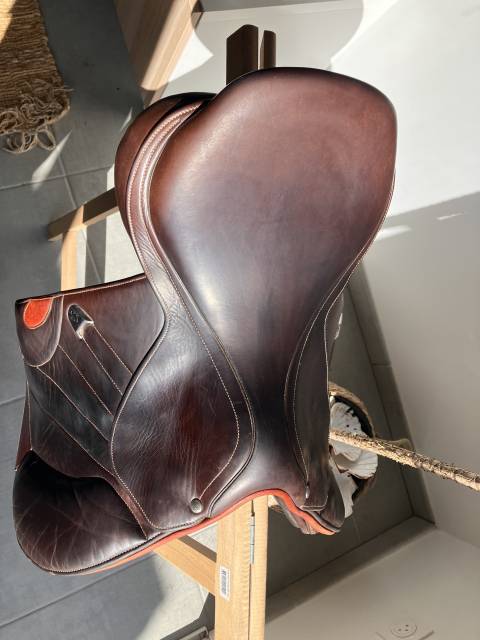 Selle bates victrix
