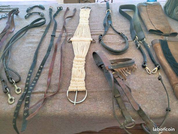 Lot accessoires cheval