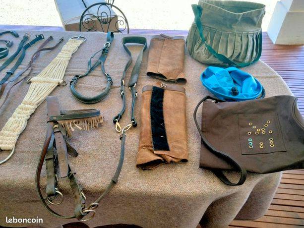 Lot accessoires cheval