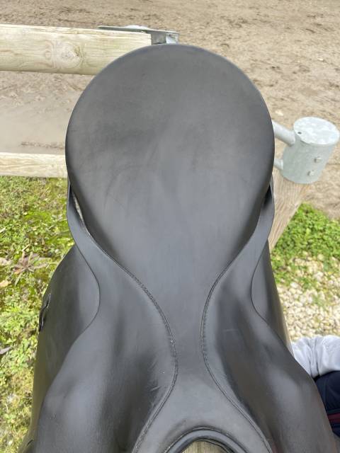 Selle de dressage Passier