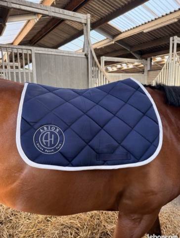 Tapis Arion sellier 