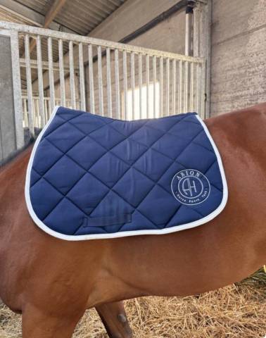 Tapis Arion sellier 