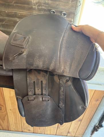 Selle mixte CHILDERIC