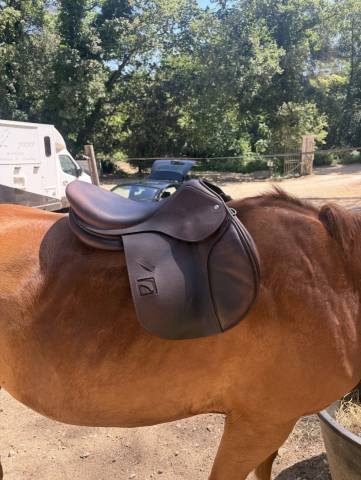Selle mixte CHILDERIC