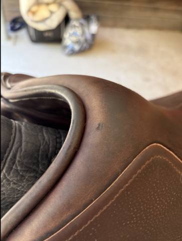 Selle mixte CHILDERIC