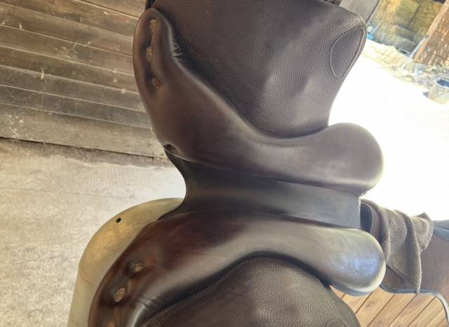 Selle mixte CHILDERIC