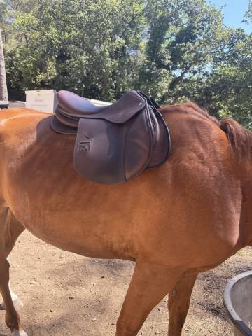 Selle mixte CHILDERIC