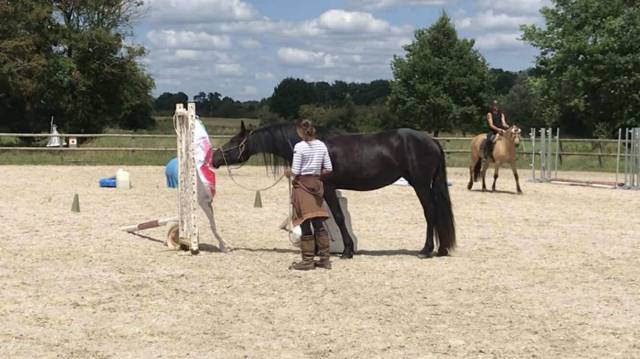 Pension spécialisée poulains & jeunes chevaux (indre)