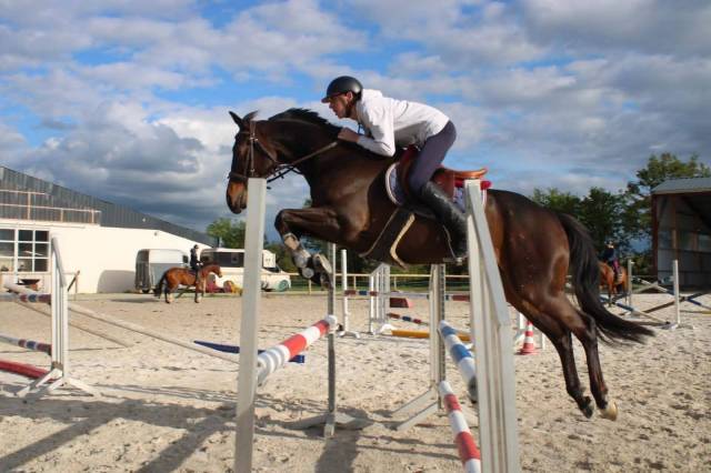 Vous recherchez un cheval toutes disciplines ? 