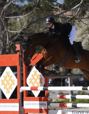 Cheval 12 ans zangersheide 
