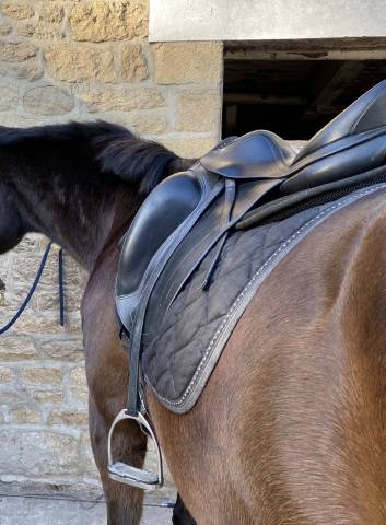 Selle de dressage &Eacute;quipe Emporio 17,5 pouces