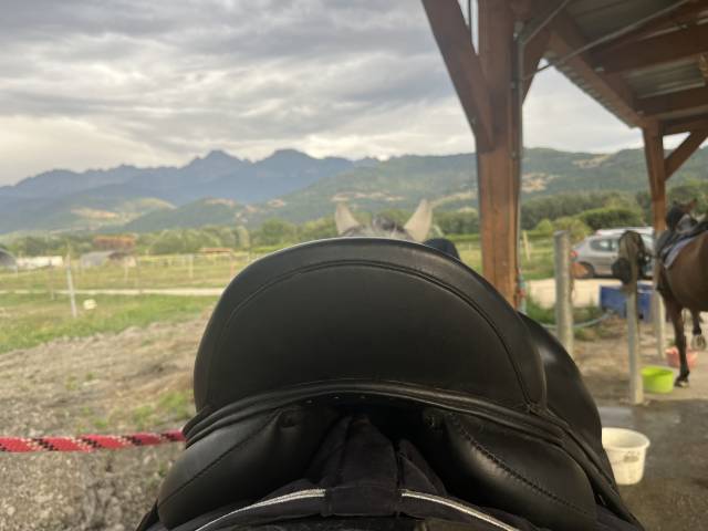 Selle de dressage Antares 