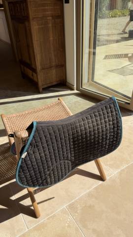 Tapis de selle Weatherbeeta Bleu / Violet