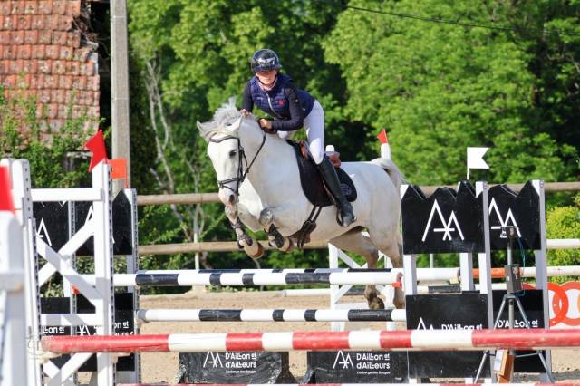 Location poney cso p1/p elite dressage p elite