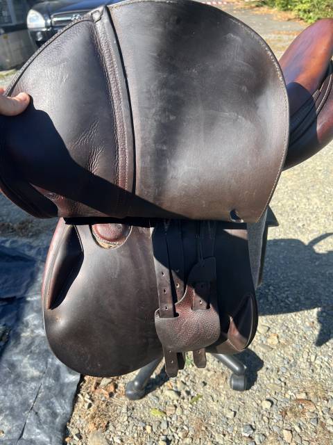 Selle Antarès 17 pouce 