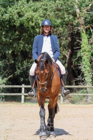 Hongre 6 ans par chrome d'ivraie 