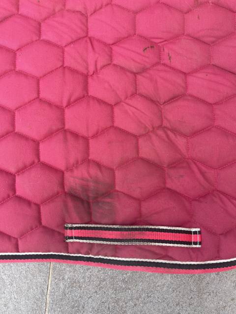 Tapis d&rsquo;&eacute;quitation 