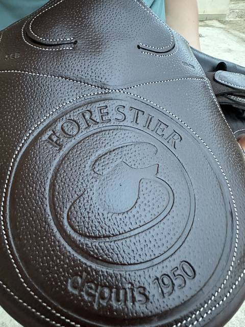Sangle bavette courte FORESTIER