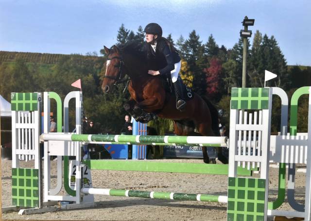 Poney de sport à vendre