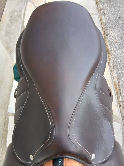 Selle Forestier Seoul 