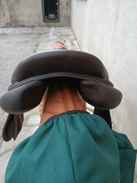 Selle Forestier Seoul 