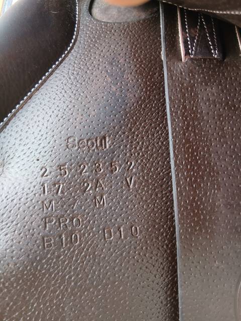 Selle Forestier Seoul 