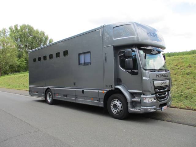Daf lf 310 ehc