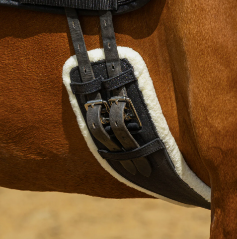 Sangle de dressage à paillettes - QHP - Anatomique