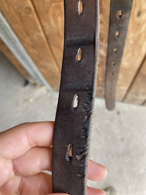 N&Eacute;GOCIABLE selle planitium 