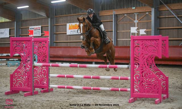 Cheval à louer