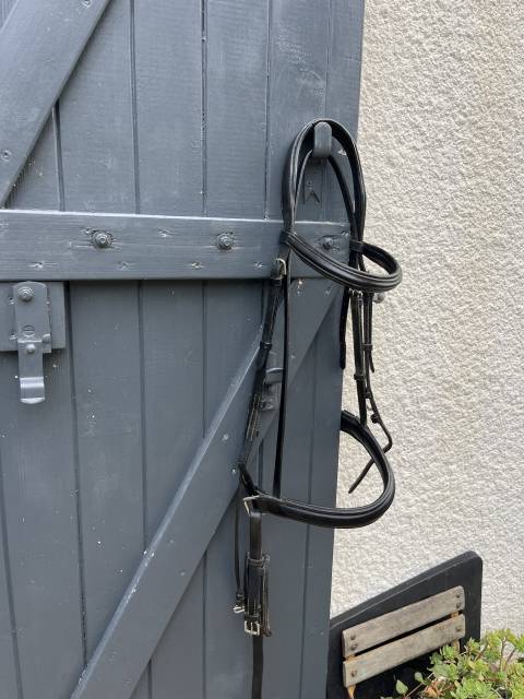 Filet dressage noir 