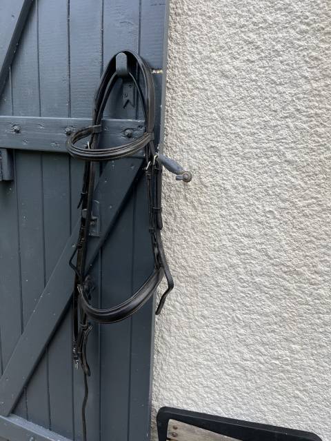 Filet dressage noir 